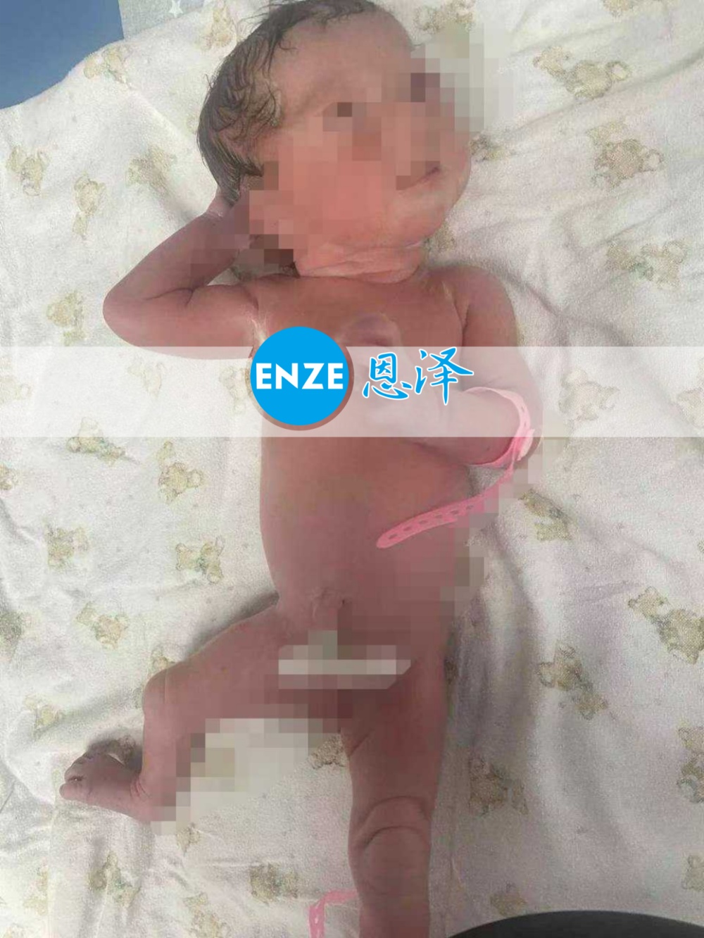 恩泽格鲁吉亚代孕宝宝顺利出生