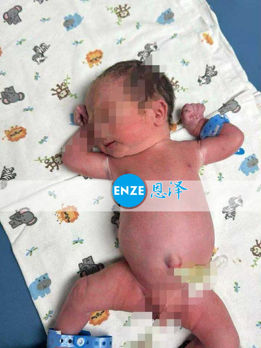 恩泽格鲁吉亚代孕宝宝顺利出生