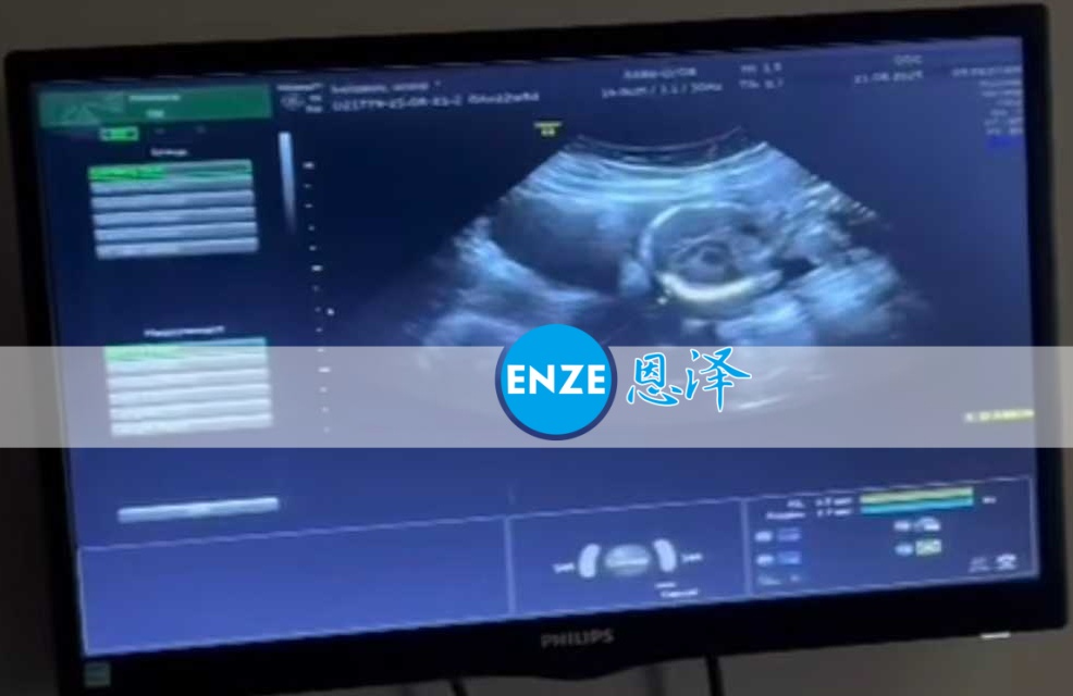 恩泽格鲁吉亚代孕代母22周检查顺利通过