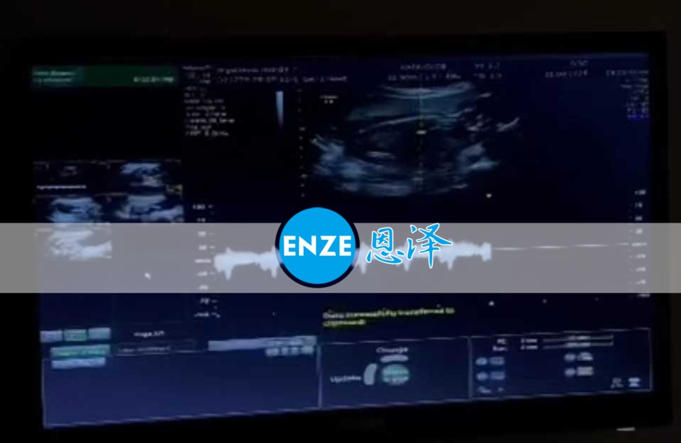 恩泽格鲁吉亚代孕代母17周检查顺利通过