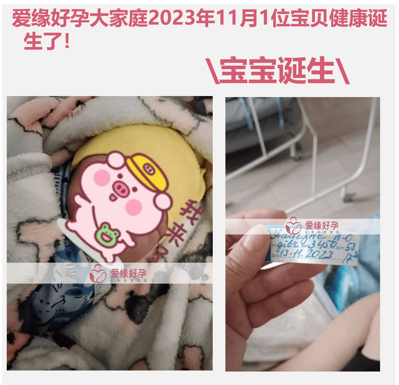 爱缘好孕:11月代孕简报