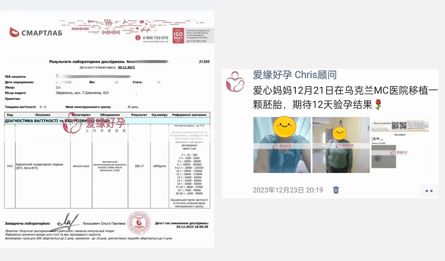 爱缘好孕:12月代孕好孕简报