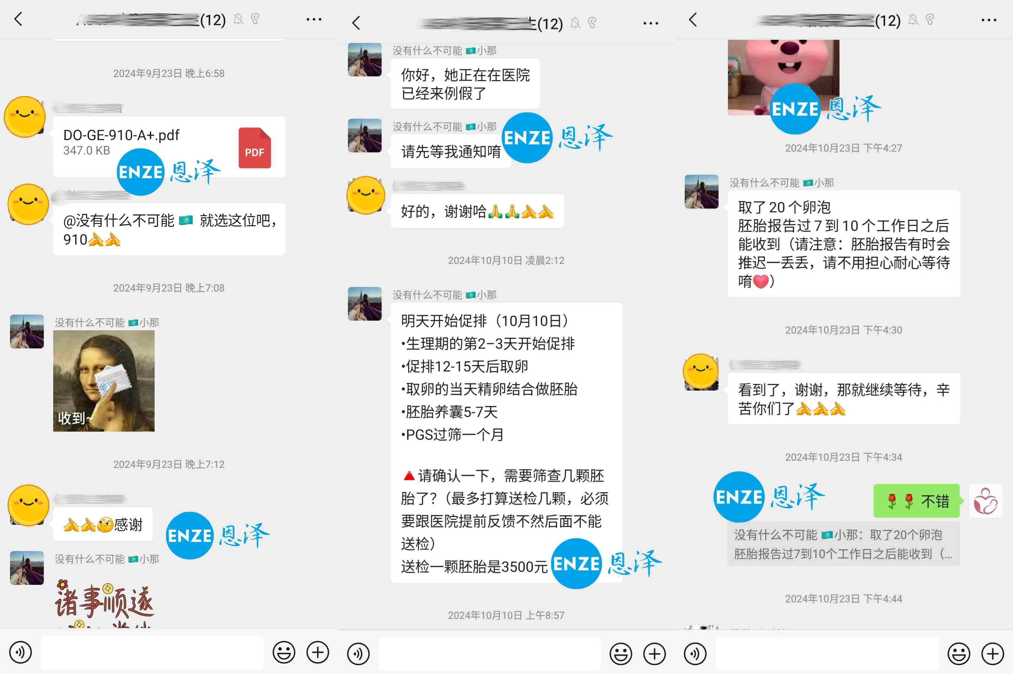 恩泽格鲁吉亚代孕捐卵14个月抱到双胞胎