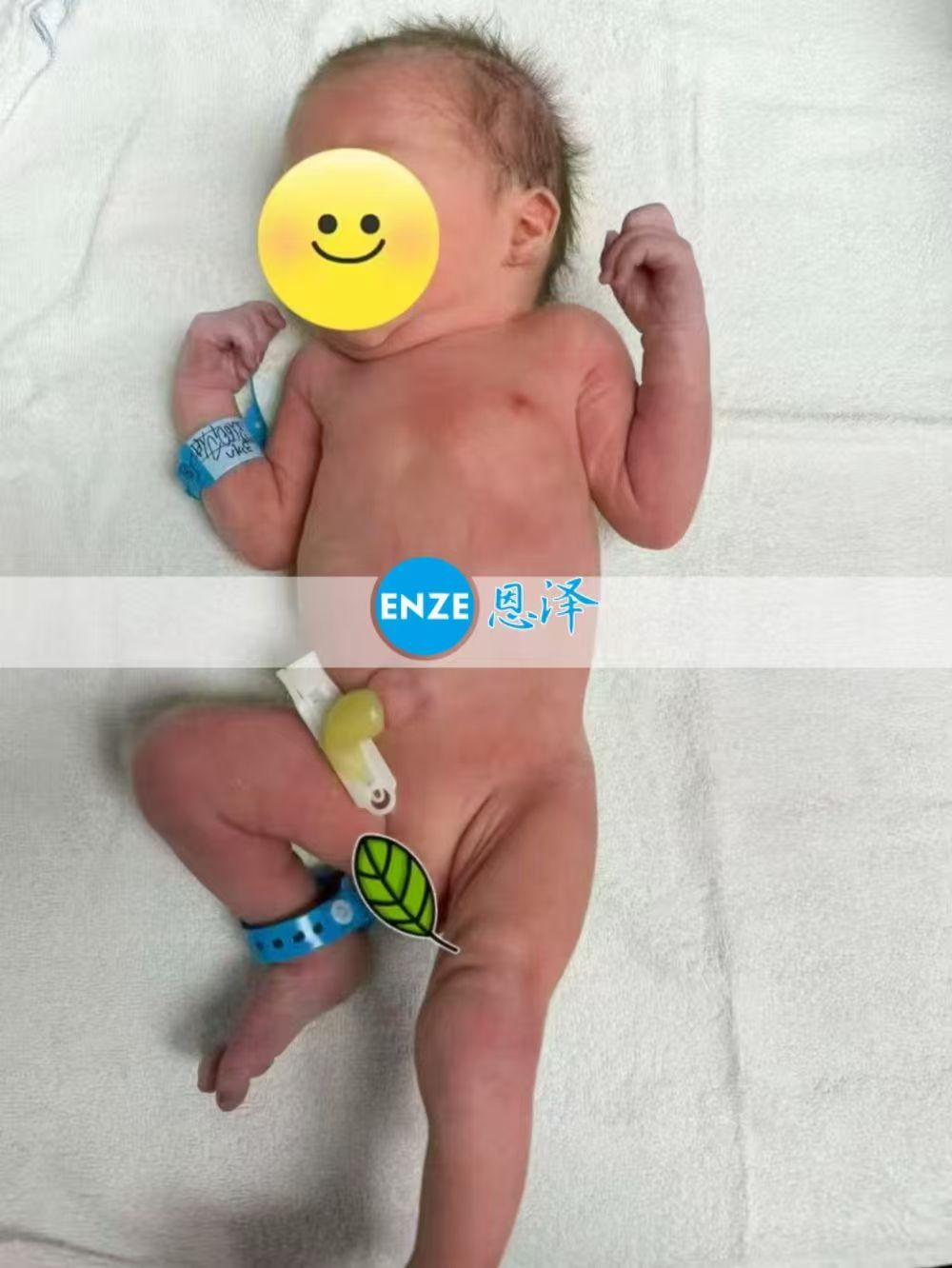 恩泽格鲁吉亚代孕宝宝顺利出生