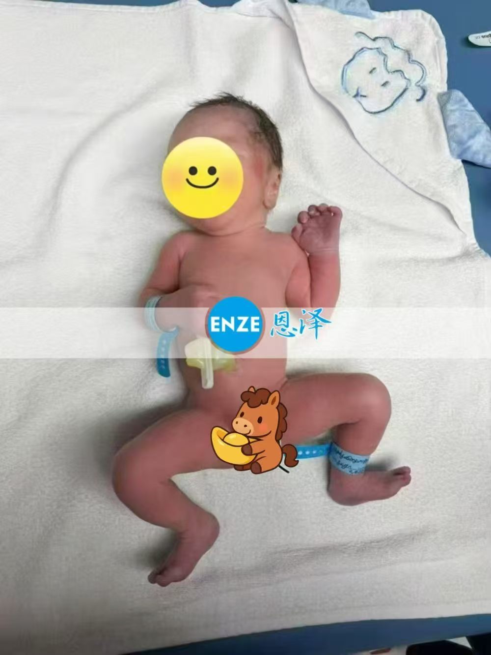 恩泽格鲁吉亚代孕宝宝顺利出生