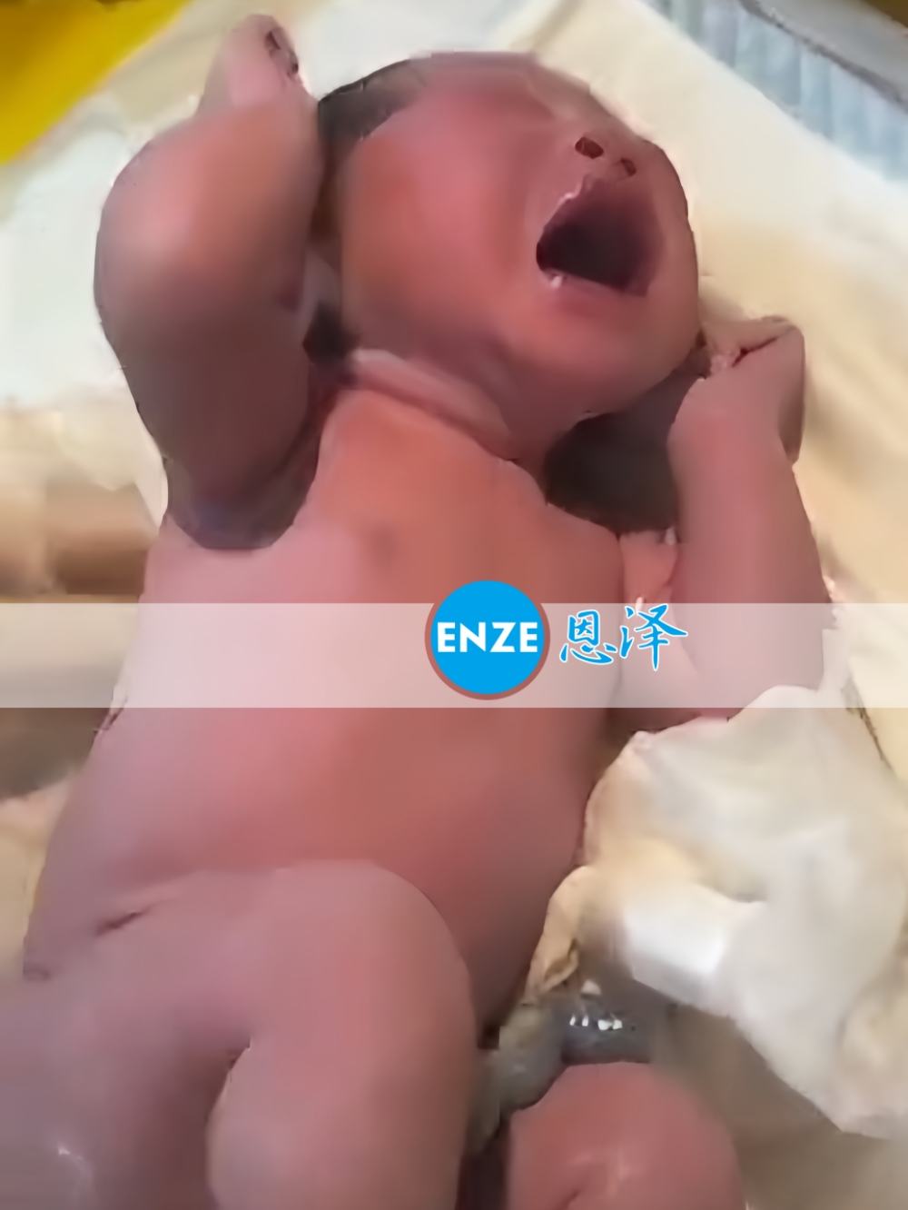 恩泽格鲁吉亚代孕宝宝顺利出生